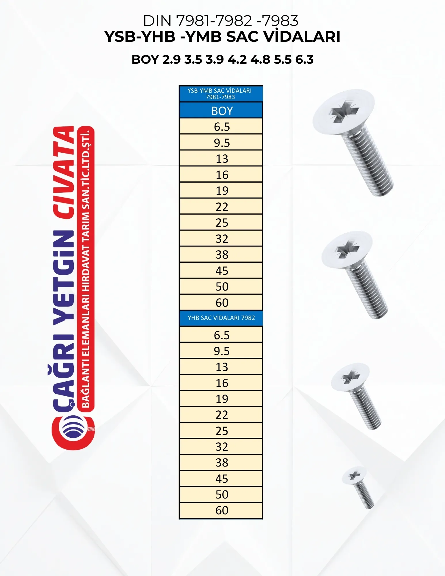 DIN 965 ISO 7046 YILDIZ HAVŞA BAŞ VİDA (YHB)